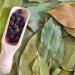 500g Whole Dried Bay Leaves - Laurus Nobilis - Intense Aroma & Taste - 100% Natural Pure and No Additives | Qual - Buy Online on GoSupps.com