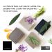 Men's Shower Gel Collection - Natural Black Detox Soap | Palm Oil-Free Solid Gel for Nourishing Care & Cleansing - Buy Online on GoSupps.com
