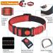 Haapaw Reflecting Dog Collar - Padded Neoprene Breathable Nylon for Small & Medium Dogs - Red (M 1-Pack) - Buy Online on GoSupps.com