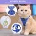 Shop Tikxlafe Adjustable Cat Dishes with 150cm Leash - Perfect for Kittens | Blue L Polyester Cat Linen Set - Buy Online on GoSupps.com