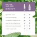 All Clean Natural Mini Hand Sanitizer Spray 5 Pack Lavender Premium Hand Sanitizers Mini Travel Size Products Safe for Kids Hand Sanitizer 2+ Spray Hand Sanitizer 70% - Made in Calgary Canada - Buy Online on GoSupps.com