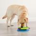 Outward Hound Nina Ottosson Lickin' Layers Interactive Dog Puzzle Game and Slow Feeder - Buy Online on GoSupps.com