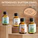 Premium Woodfjord Sauna Infusion Set - 4 Organic Fragrances & Oils for Authentic Sauna Experience - 100ml Bio Aktiv Sauna Air Test Set - Buy Online on GoSupps.com