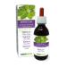 Master root (PeUcedanum Ostruthium or Imperatoria Ostruthium) Rhizomes of non -alcoholic primeval tincture Natural Ma |Liquid extract drops 120 ml |Dietary supplement |Veganer alcohol -free 120 ml (1 Pack)