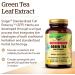 Solgar Green Tea Extract 60 Veg Capsules - Premium Antioxidant Supplement - Buy Online on GoSupps.com