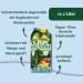 Pfanner Ice Tea Mango-Passion Fruit Refreshing Brewed Black Tea (2L) | Buy Online Internationally - Buy Online on GoSupps.com