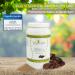 Buy Vitacare Daily One Protein Shake - Chocolate 630G Whey Protein Powder with Psyllium for Optimal Fitness - International Shipping Available - Buy Online on GoSupps.com
