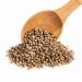Buy Malinowe Whole Coriander Seeds 1kg | Premium Quality International Shipping - Buy Online on GoSupps.com
