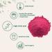 Organic Beet Root Powder 2 Pounds - Cold Pressed, Water Soluble Pre-Workout Concentrate with Natural Nitrates for Energy & Immune Support - Non-GMO (2 lb) - Buy Online on GoSupps.com