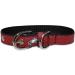 Pets First Philadelphia Eagles NFL Leather Dog Collar - Small - Buy Online on GoSupps.com