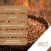  IGART IGART Roasted Buckwheat 10kg | Delicious | Source of Fiber | Source of Protein | Superior Quality - Buy Online on GoSupps.com