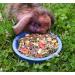 Buy Meadow Creeper Rabbit Food 4.5kg - Nutrient-Rich Herbal Feed for Happy Rabbits | International Shipping Available - Buy Online on GoSupps.com