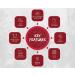 AKTI Premium Cotton Bath Sheets Towels 35x70 Inches 2 Pack - Super Soft & Absorbent 580 GSM - Red Equestrian Bathroom Towels - Buy Online on GoSupps.com