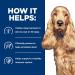 Hill's Prescription Diet z/d Skin/Food Sensitivities Wet Dog Food 13oz (12 Pack) - Buy Online on GoSupps.com