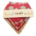 Premium Baby Bandana Bibs 100% Organic Cotton Set of 5 Unique Designs (Girls Set)