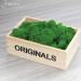 AMEICE Green Reindeer Moss: Natural Preserved Decor for Gardens, Terrariums & Crafts - Buy Online on GoSupps.com