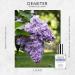 DEMETER Lilac 1 oz Cologne Spray Perfume for Women - Buy Online on GoSupps.com