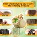 2PCS Organic Ginger Hair Regrowth Shampoo Bars for Hair Growth | Anti-Hair Loss Formula - Buy Online on GoSupps.com
