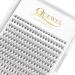 QUEWEL Individual Lashes 240Pcs Cluster Lashes 10D 0.10D Curl Mix8-14mm Lash Extensions Clusters Lashes Soft&Natural False Eyelashes Individual DIY Eyelash Extension at Home(10D 0.10D MIX8-14) 1 Count (Pack of 1) 10D-0.1...