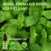 Essential Oil Blends Set for Diffusers | Spearmint Tea Calming & Relaxing Aromatherapy | 6x10ml Well-Being Kit for Home & Skin Care - Buy Online on GoSupps.com
