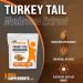 Turkey Tail Mushroom Extract Powder - 1000mg per Serving - Gluten Free Herbal Supplement - 250 Servings - 8.8oz - BulkSupplements.com - Buy Online on GoSupps.com