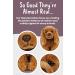 Living Nature 22cm Realistic Soft Cuddly Cocker Spaniel Dog Toy - Buy Online on GoSupps.com