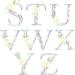 Uniquilling Paper Quilling Kit for Adults - DIY 8x10 inch Letters Painting Kit - Quilling Tools for Home Decor - Perfect Gift for Beginners - Buy Online on GoSupps.com