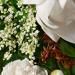 Molton Brown Dewy Lily Of The Valley and Star Anise Hand Cream 40 ml - Buy Online on GoSupps.com