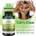 Swanson Cat's Claw 500mg 120 Capsules High Dosed Lab Tested Soy Free Gluten Free Non-GMO - Buy Online on GoSupps.com
