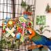 Colorful Mqupin Parrot & Budgie Toys | Edible Seagrass Climbing Accessories & Hammock Mat | International Shipping - Buy Online on GoSupps.com
