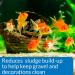 API Goldfish Water Conditioner - Safe Tap Water Treatment and Aquarium Cleaner for Clean and Healthy Water - Buy Online on GoSupps.com