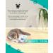 Buy Pettom 3-in-1 Interactive Cat Toy: Ball Spring & Rotating Butterfly Teaser - Automatic Fun for Kittens & Cats - International Shipping - Buy Online on GoSupps.com