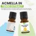 Acmella extract 5 ml - A concentrated firming and wrinkle smoothing active ingredient - Buy Online on GoSupps.com