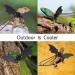 cobee Adjustable Lizard Leash 3pcs Bearded Dragon Harness and Leash 3 Size Reptile Leather Harness Bearded Dragon Rope with Cool Wings for Lizard Amphibians Chameleons Small Pet Animals(S M L) - Buy Online on GoSupps.com