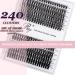 Riya Lash Clusters DIY Eyelash Extensions | 240 Clusters, 30D Curl, Wispy Volume | Individual Eyelash Extensions for At-Home Use - Buy Online on GoSupps.com