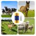 Generic Cattle Scratch Brush - Cow Brush for Itching Relief | Perfect for Cattle Horses Sheep & Pigs - Yellow - Buy Online on GoSupps.com