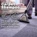 Dirtbusters Simply Carpet Cleaner Shampoo 3-In-1 Solution - 1L | Powerful Stain Removal & Odor Neutralizer | Wool Safe - Buy Online on GoSupps.com