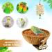 Natural Coconut NC Birds Nest Set - Ultimate Bird Playground & Cage Accessories for Budgies & Nymphs - Buy Online on GoSupps.com