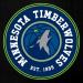 Shop NBA Minnesota Timberwolves Jerseys & T-Shirts for Men | Basketball Player Apparel - International Shipping Available - Buy Online on GoSupps.com