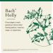 Bach Original Flower Remedies Holly 20mL Dropper - Natural Homeopathic Essence for Goodwill & Stress Relief - Vegan Formula - Buy Online on GoSupps.com