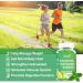 Organic Chlorophyll Gummies with Supergreens - Natural Antioxidant, Energy Boost, Immune Support - 2 Pack (120 Vegan Gummies) - Buy Online on GoSupps.com
