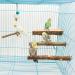4 Pack Natural Wood Bird Perch for Bird Cages - Parrot Stand Platform Exercise Toys - Cage Accessories for Budgies, Cockatiel, Conure, Parakeet - Paw Grinding Stick Perch Stand - Buy Online on GoSupps.com
