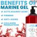 Marine Collagen Shower Gel 5000 ml Youthrestoring & Moisturizing Bath & Shower Gel Nourishes Refreshes & Revitalizes the Skin 100 Natural Vegan & Environmentally Friendly Made in France Fresh 5 l 1er Pack - Buy Online on GoSupps.com