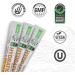 Sunwarrior Hydration Powder - Juicy Pineapple Electrolyte Packets | Vegan Sugar-Free B12 & Elderberry | 18 Stick Packs | Active Hydration 126g Pouch - Buy Online on GoSupps.com