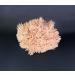 Premium Sea Wool Art Sponge: Professional Grade for Painting, Decorating, Texturing, and More - Buy Online on GoSupps.com