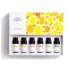 Citrus Essential Oil Set - Pack of 6 10ml Pure Therapeutic Grade Fruity Essential Oils includes Lemon Grapefruit Sweet Orange Lime Bergamot and Petitgrain