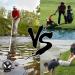 Prowithlin Stainless Extendable Golf Ball Retriever Bundle | 2 Grabbers, 9ft Telescopic Pole | Lightweight, Golf Gifts for Men - Buy Online on GoSupps.com