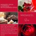 Danichou Massage Oil Rose 250ml - 100% Vegan Natural Oil with Jojoba & Almond - Luxurious & Revitalizing Relaxation - No Colors or Preservatives - International Shipping Available - Buy Online on GoSupps.com