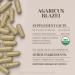 Agaricus Blazei USDA Organic 120 Capsules | High-Potency Natural Supplement | Certified Organic Vegetarian Capsules and Organic Agaricus Blazei (Agaricus blazei murill) Dried Mushroom (120 Capsules) 120 Count (Pack of 1) - Buy Online on GoSupps.com