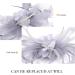Drolasa Fascinators for Women With Hair Clips Headbands Flax Fascinators for Women High Tea Lightweight Fascinator (Grey) - Buy Online on GoSupps.com